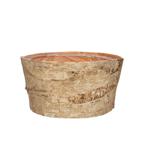 Wood Birch tray d24*12cm