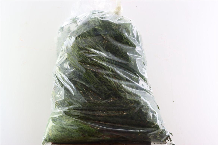 <h4>Conifeer Mix Zak</h4>