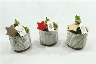 <h4>6014 KER POT AMAR</h4>