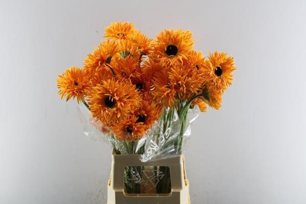 <h4>Ge Gs+ Bambu (geel)</h4>