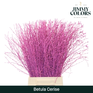 Betula L60 Cerise