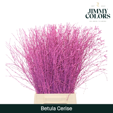 <h4>Betula L60 Cerise</h4>