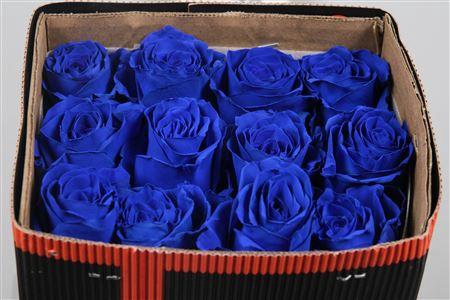 <h4>R Gr Blue Ec</h4>