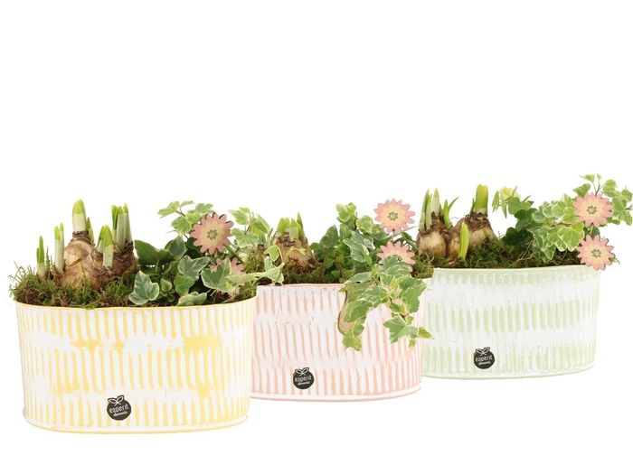 <h4>11660: Outdoor spring arrangement</h4>