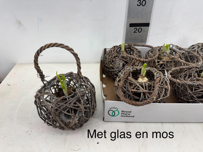 <h4>ARR N TETE A TETE</h4>