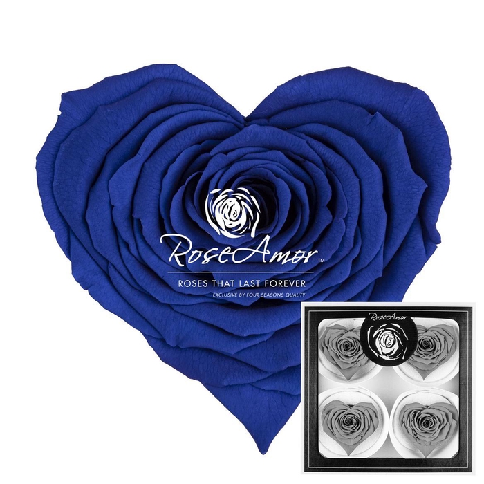 <h4>Corazon Bella Blu03</h4>