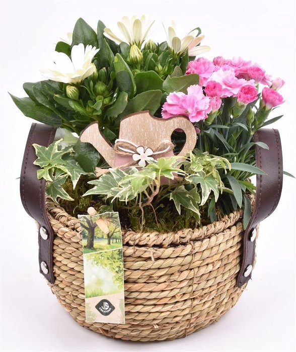 <h4>Touwmand met leer handv.18-20cm</h4>