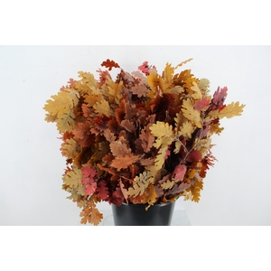 PF OAK LEAFS BS 150GR