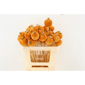 Stick Pomegranate V.6cm Brown