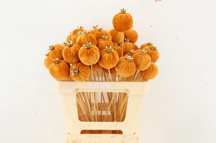 <h4>Stick Pomegranate V.6cm Brown</h4>