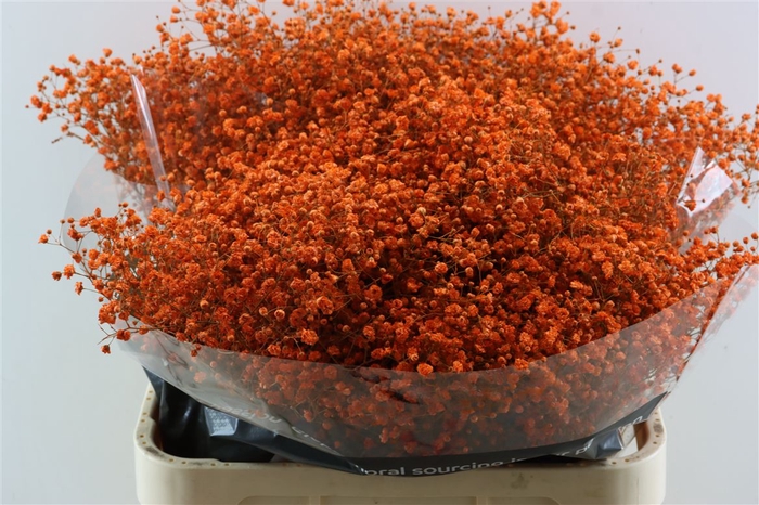 <h4>Gyps Grof Orange (dip)</h4>
