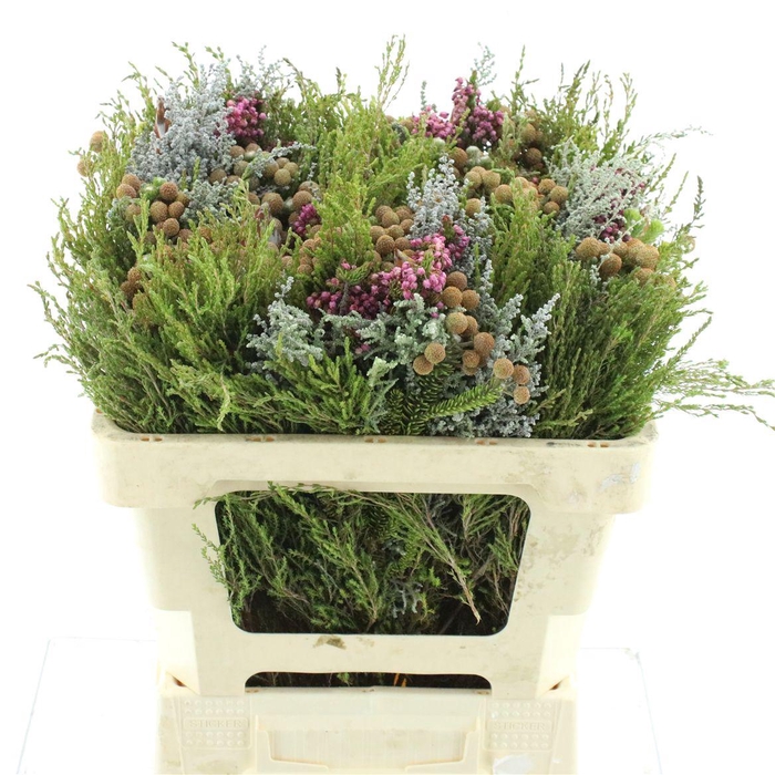 <h4>Kaaps Bouquet Cape Mix</h4>
