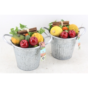 arr4 Sierfruit JS - Zink ton oor 306/6