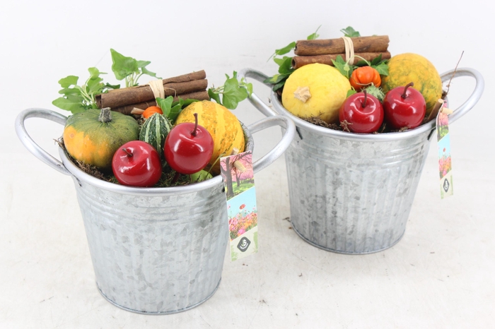 <h4>arr4 Sierfruit JS - Zink ton oor 306/6</h4>