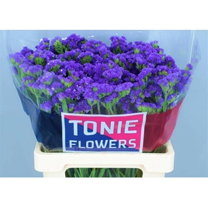 LIM S CRYST DARK BLU