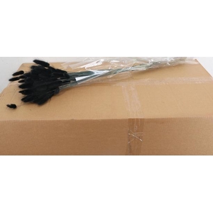 DF Lagurus Bs 50g/70cm Black
