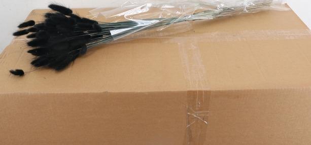 <h4>DF Lagurus Bs 50g/70cm Black</h4>