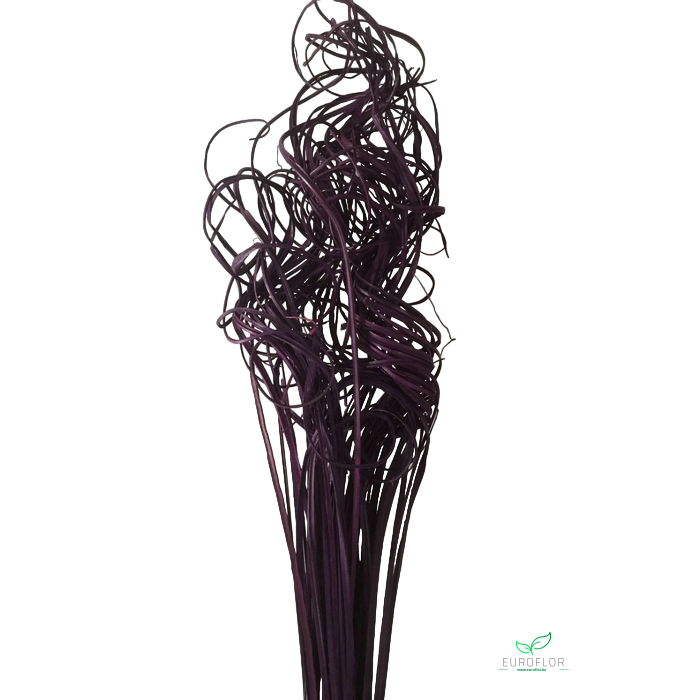 <h4>CURLY TING TING 50ST PURPLE</h4>