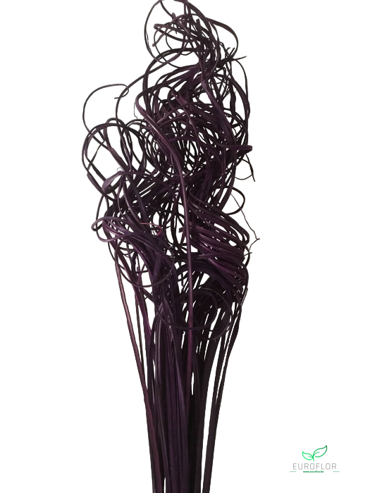 CURLY TING TING 50ST PURPLE