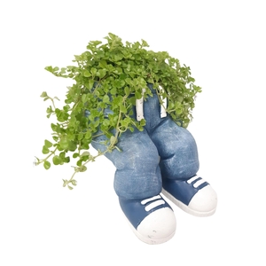 Arr.   Kamerplant Groen L%