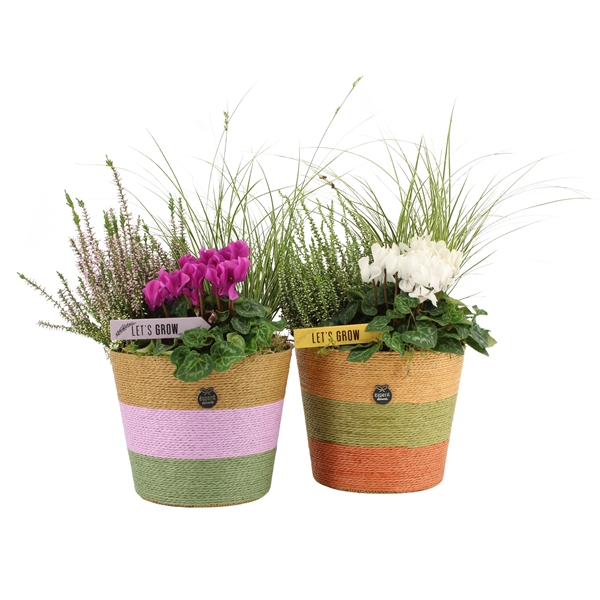 <h4>41457: Autumn Outdoor arrangement</h4>