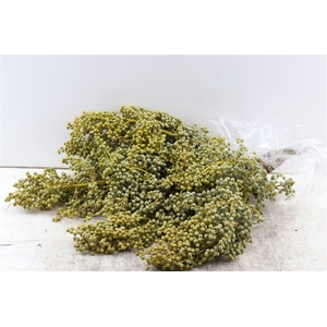 Sier Dadels Di Lago 4 Kg