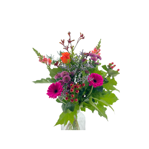 BQ Field Jacky Autumn