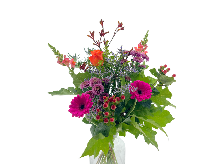 BQ Field Jacky Autumn