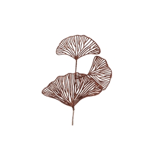 Pick Shine Lotus Scottish Copper 40cm Per 12