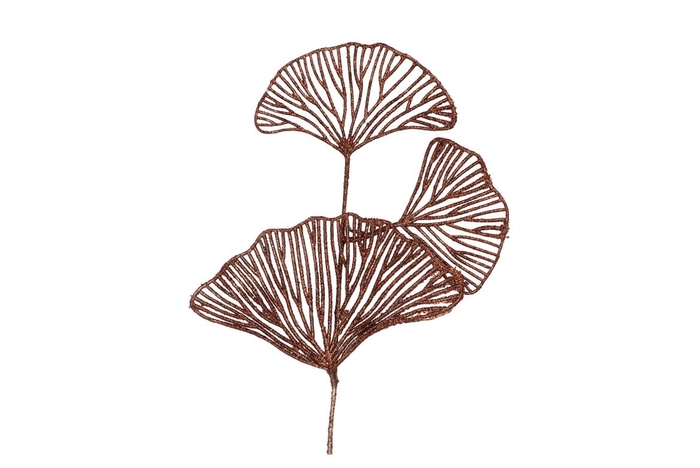 Pick Shine Lotus Scottish Copper 40cm Per 12