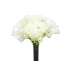 LISIANTHUS FLOR BRANCO