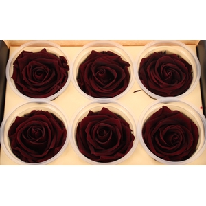 R Prs Red Wine