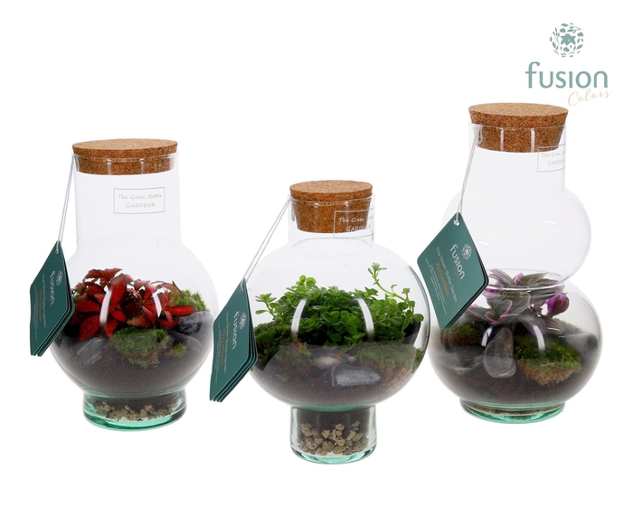 <h4>Green Bottle XSmall glas mix met Terrarium arrangement</h4>