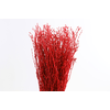 Berk Klb Red