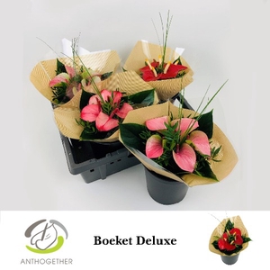 Boeket Deluxe 5 bloem Paperlook 4