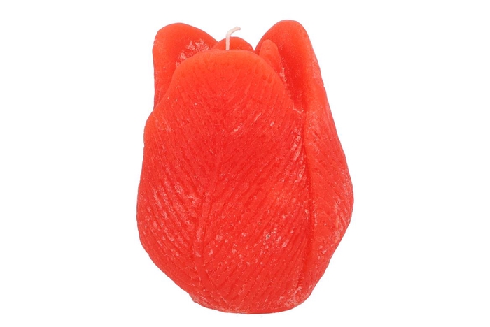 <h4>Candle Tulip Orange 10x13cm</h4>