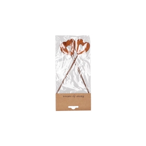 Pick Rusty Open Heart Metal 5x17cm P/4