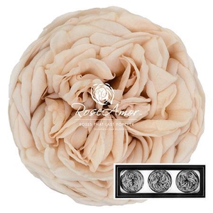 Kabukyza Per 3 Cha01