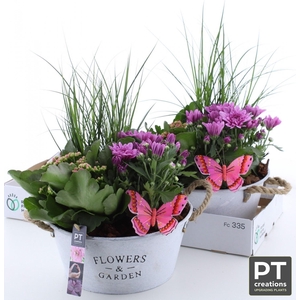 ARR TUINPLANTEN