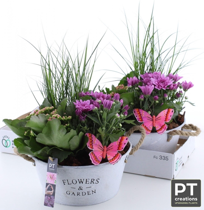 <h4>ARR TUINPLANTEN</h4>