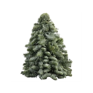 Kerstboom L4