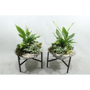 2670 Wit Glas Op Pootje