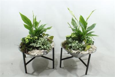 <h4>2670 Wit Glas Op Pootje</h4>