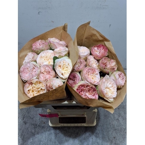 R Gr Springfie Park!