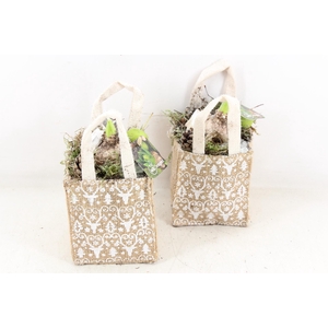 arr4 Hyacint MB - Jute tasje kl. x10