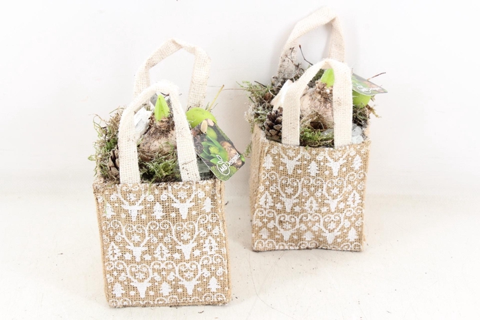 <h4>arr4 Hyacint MB - Jute tasje kl. x10</h4>