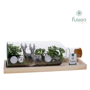 Green Bottle Fles Medium liggend Kerst met Arrangement met LED