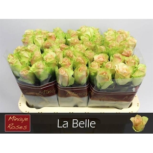 R Gr La Belle