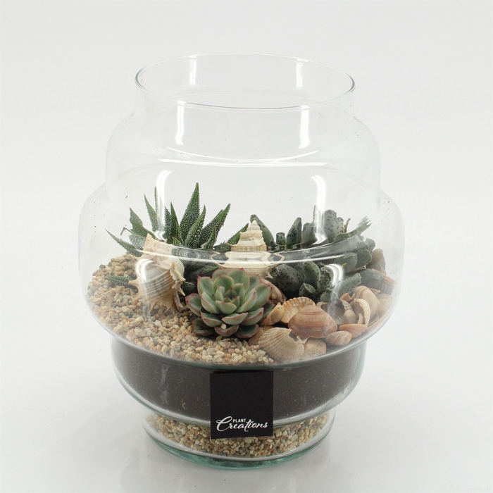 <h4>Arr.   Kamerplant Groen H%</h4>