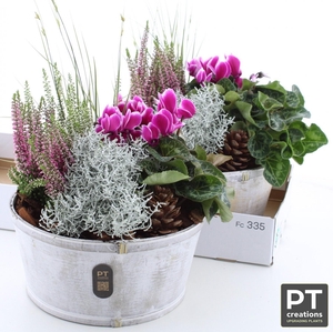 ARR TUINPLANTEN